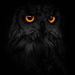 Meet your Posher, Edgar